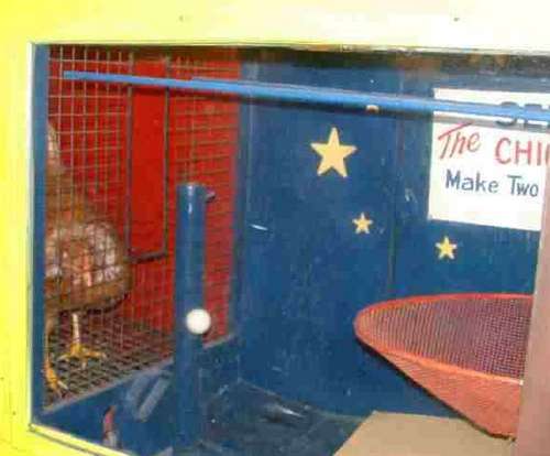 Riverview Chicken